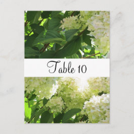 Postal Asientos de mesa con Hortensias Blancas