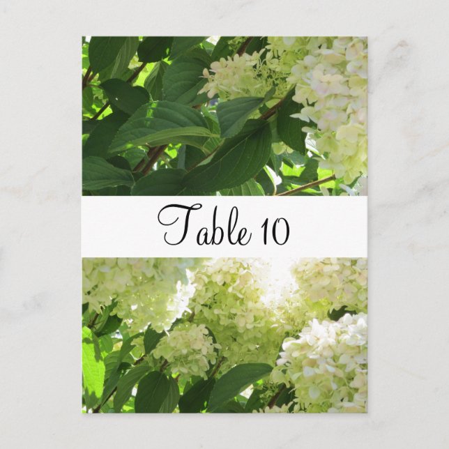 Postal Asientos de mesa con Hortensias Blancas (Anverso)