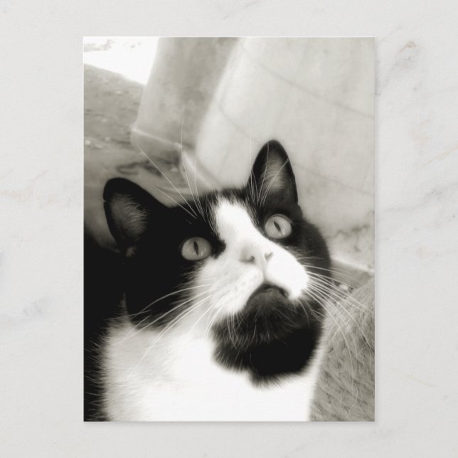 Postal Asombroso (Anverso)