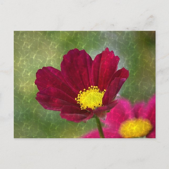 Postal Asombroso cosmos de Shimmery (Anverso)