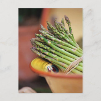 POSTAL ASPARAGUS DE POSTCARD