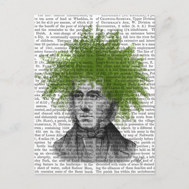 Postal Asparagus Fern Head Place Head (Anverso)