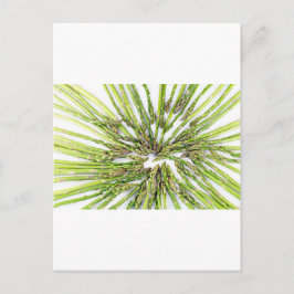 Postal Asparagus Hacia El Centro