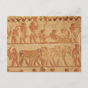 Postal Aspecto del relieve pintado