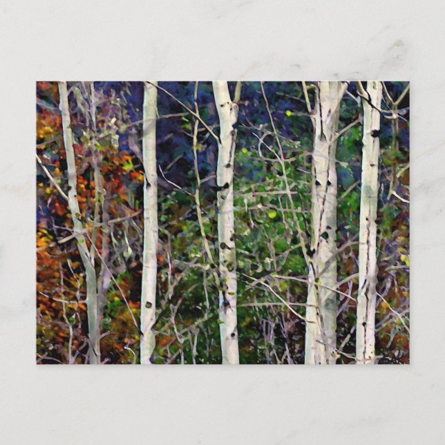 Postal Aspen (Anverso)