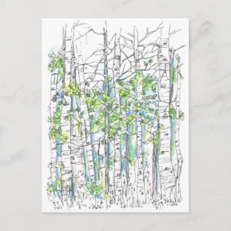 Postal Aspen Birch Trepen Pluma Y Dibujo De Tintas