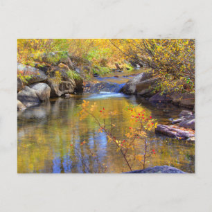 Postal Aspen, Colorado, Paisaje de Creek de Otoño