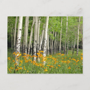 Postal Aspen Grove en Nuevo México