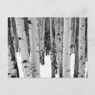 Postal Aspens