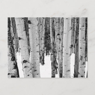 Postal Aspens