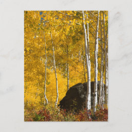 Postal Aspens