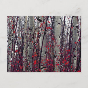 Postal Aspens otoñales