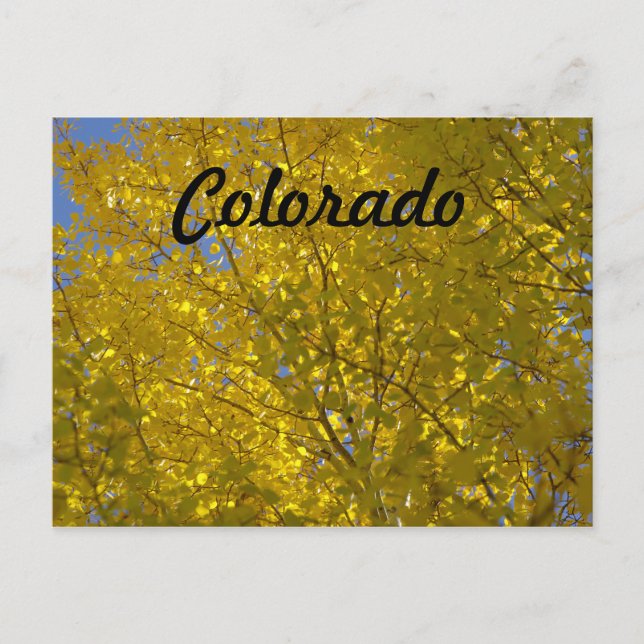 Postal Aspens Postcard (Anverso)