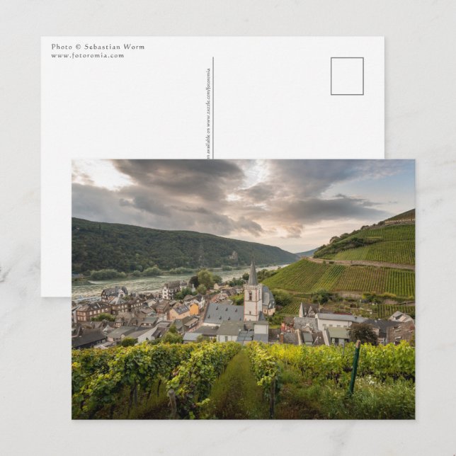 Postal Assmannshausen (Anverso / Reverso)