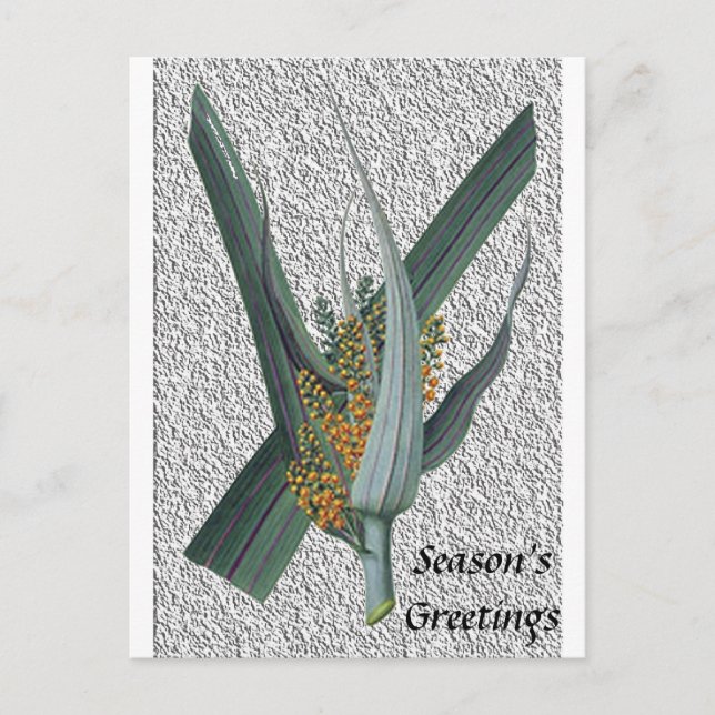 Postal Astelia Nervosa (Anverso)