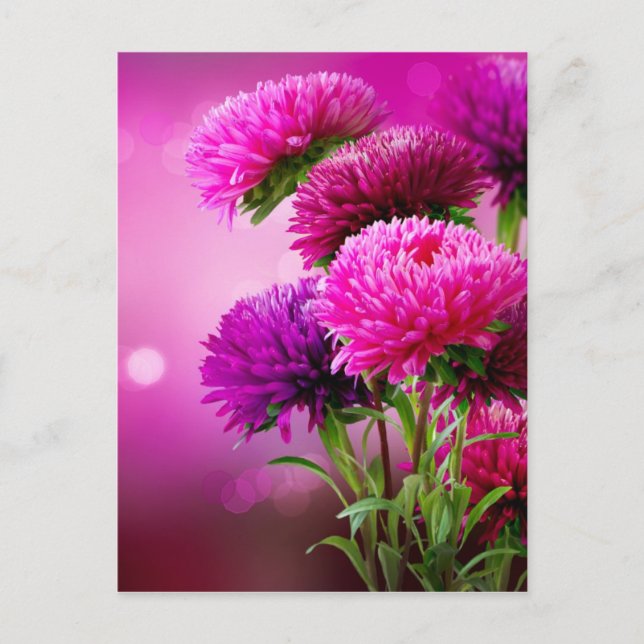 Postal Aster Autumn Flowers Art Design (Anverso)