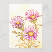 Aster de acuarela de flor silvestre botánica
