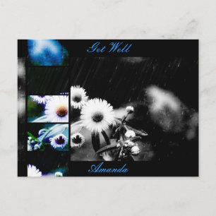 Postal Asters Aglage Collage Postcard *Personalizar*
