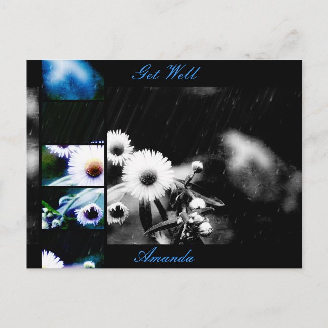 Postal Asters Aglage Collage Postcard *Personalizar* (Anverso)