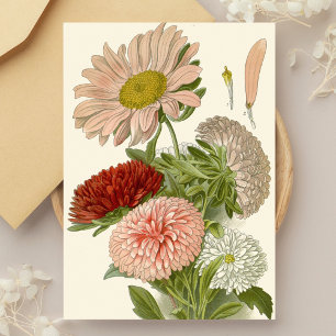 Postal Asters de China - Exquisito florero vintage botáni