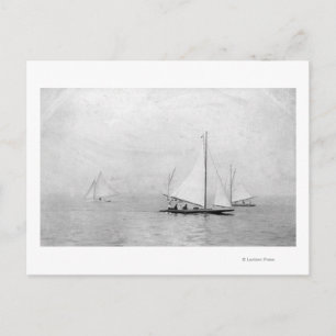 Postal Astoria, Oregón, Fotograma Anual de Regatta Vela