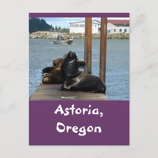 Postal Astoria Oregon Sealions (Anverso)