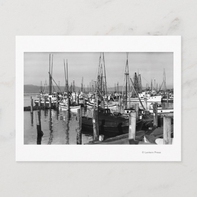 Postal Astoria, Oregon Waterfront View of Fishing Fleet (Anverso)