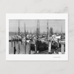 Postal Astoria, Oregon Waterfront View of Fishing Fleet