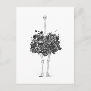 Postal Astrato floral