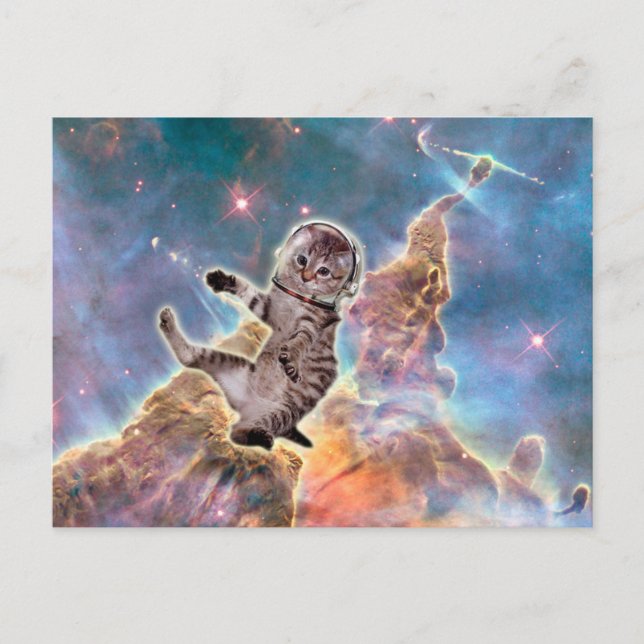 Postal Astronauta del gato gordo (Anverso)