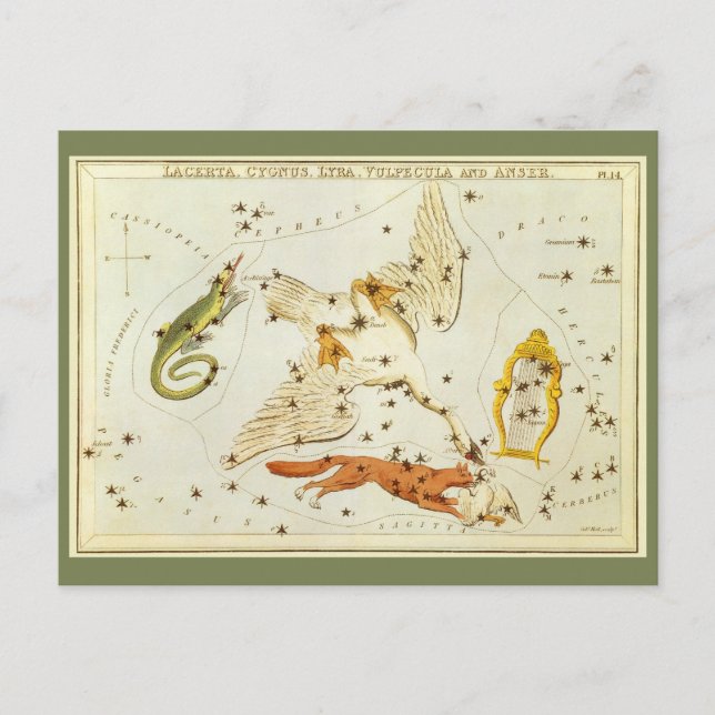 Postal Astronomía de época, mapa de estrellas de constela (Anverso)