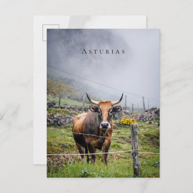 Postal Asturias Mountain Cow Travel (Anverso / Reverso)