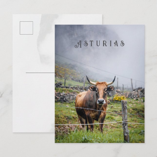 Postal Asturias Mountain Cow Travel, decorative text (Anverso / Reverso)