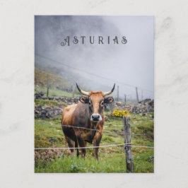 Postal Asturias Mountain Cow Travel, decorative text