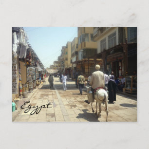 Postal aswan donkey