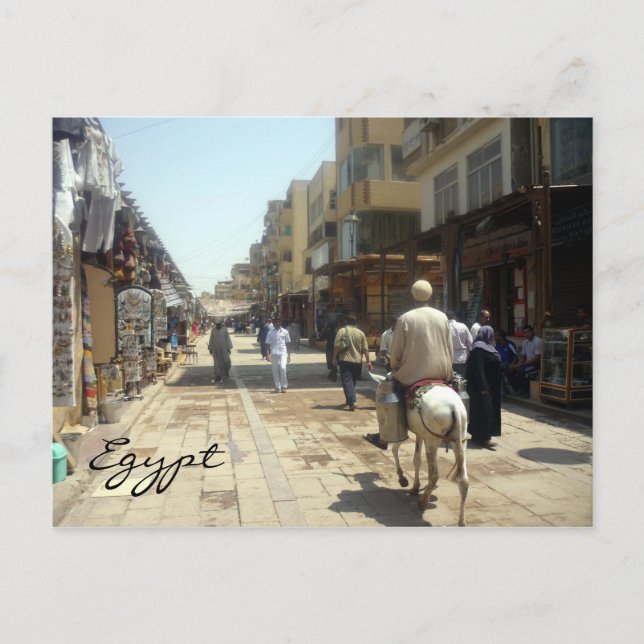 Postal aswan donkey (Anverso)