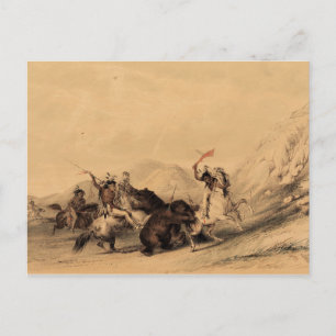 Postal Atacando el oso grizzly, 1844 George Catlin