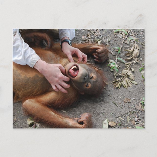 Postal Ataque a una película de Monster Alien (Anverso)