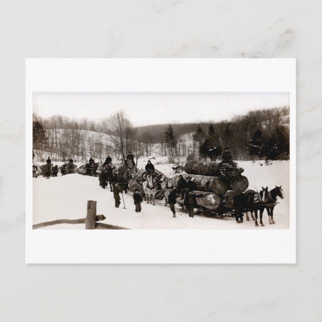 Postal Ataques de madera en el trabajo de 1905 (Anverso)