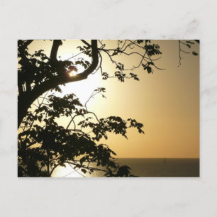 Postal Atardecer a través de árboles II Fotografía tropic