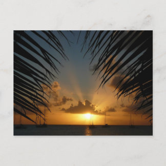 Postal Atardecer a través de la orilla de la palma