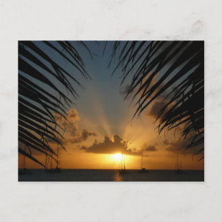 Postal Atardecer a través de la orilla de la palma