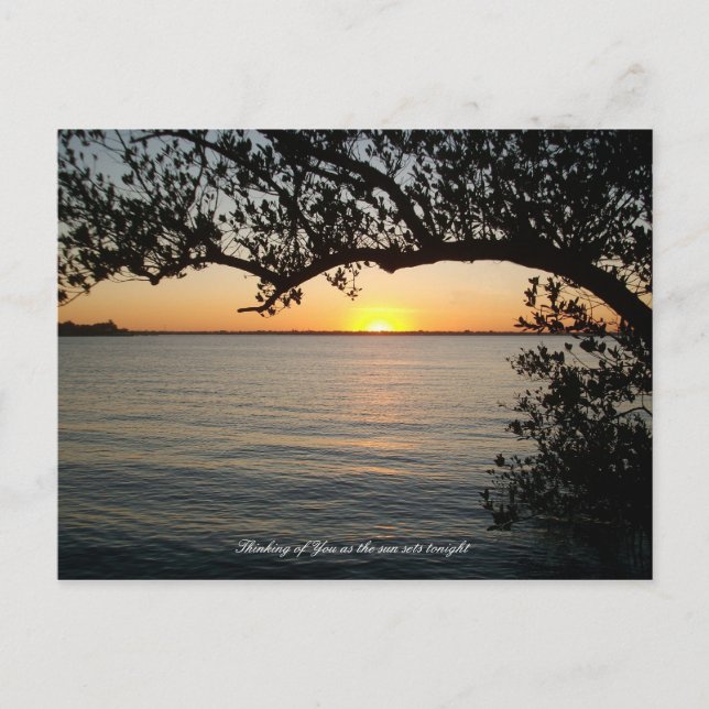 Postal Atardecer bajo el árbol (Anverso)