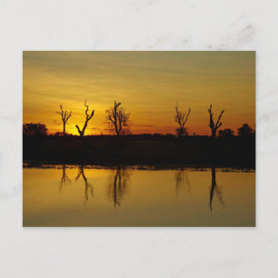 Postal Atardecer, Billabong de Agua Amarilla