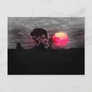 Postal Atardecer con árbol