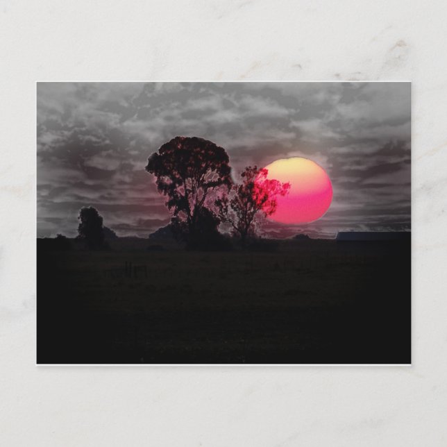 Postal Atardecer con árbol (Anverso)