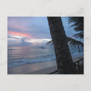 Postal Atardecer con árbol en Sri Lanka