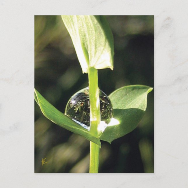 Postal Atardecer con un atlas soez y pacífico (Anverso)