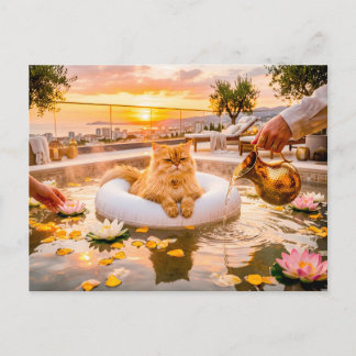 Postal Atardecer de gato Spa de piscina Serenidad