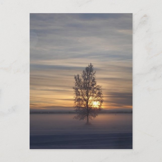 Postal Atardecer de invierno en Ft. Wainwright (Anverso)